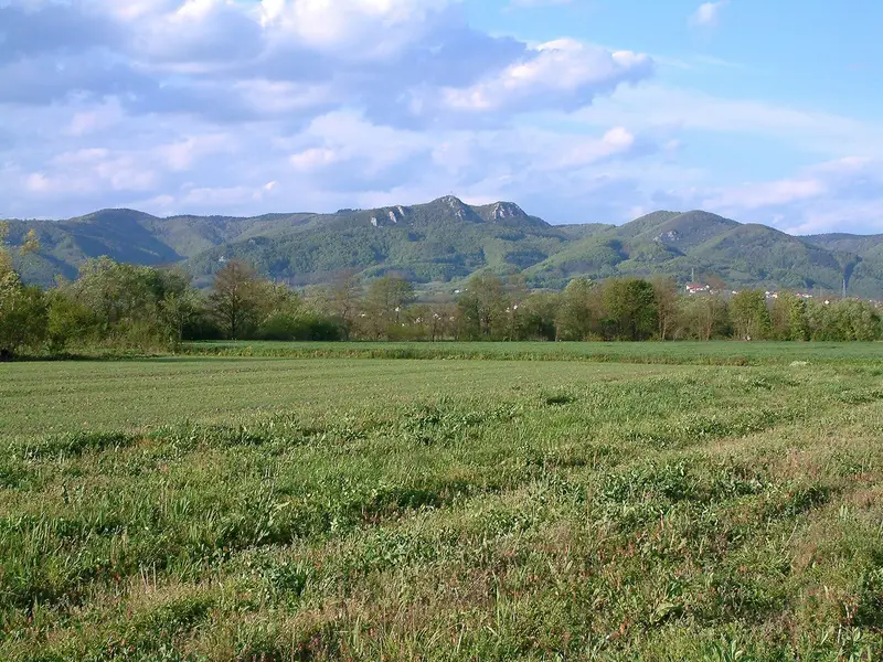 Zelena polja i planina Kozara pod plavim nebom