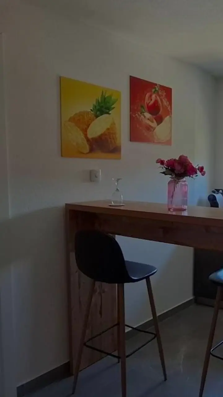 Apartman s kuhinjom, barskim pultom i stolicama